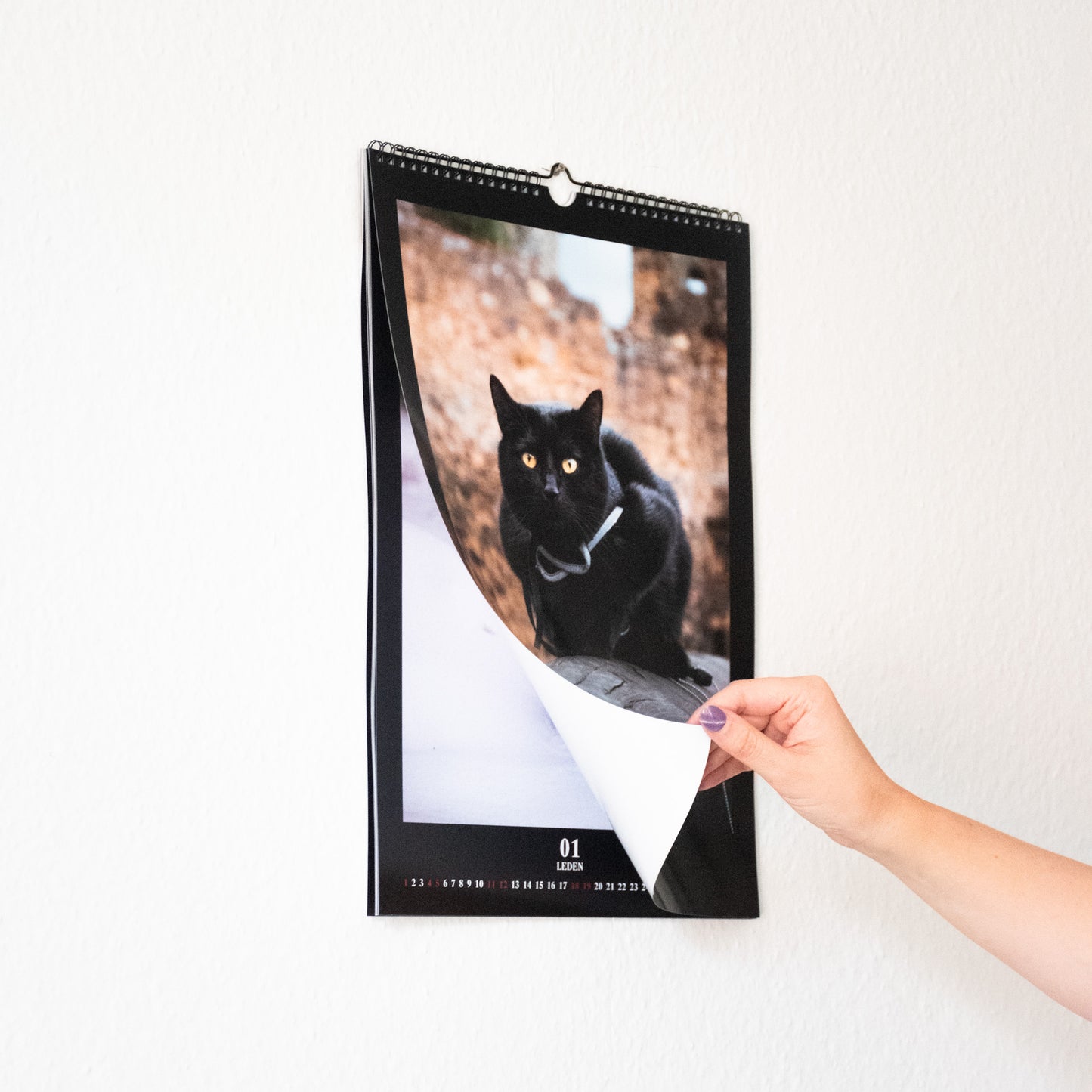 Lucifer Kalendář 2025