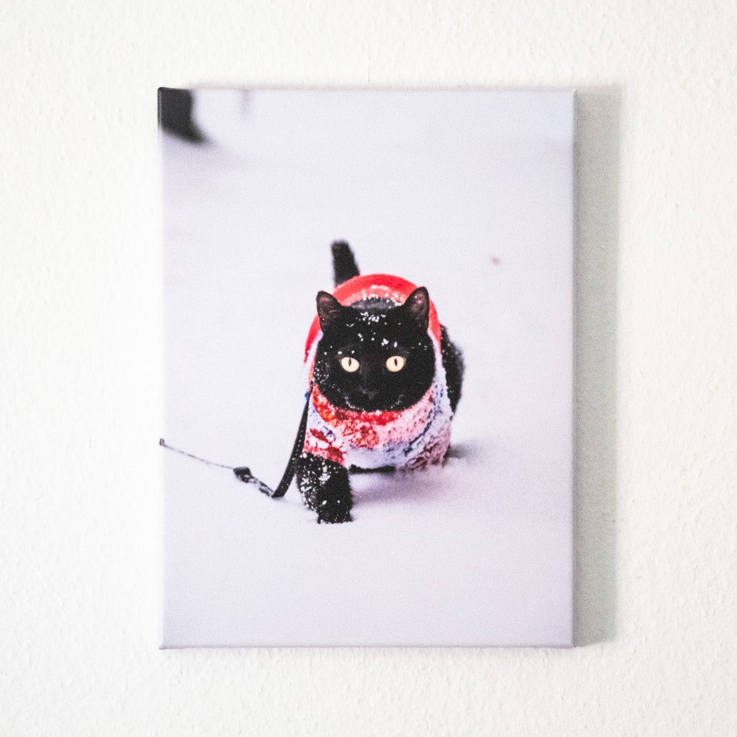 Fotoobraz na plátně - Zima