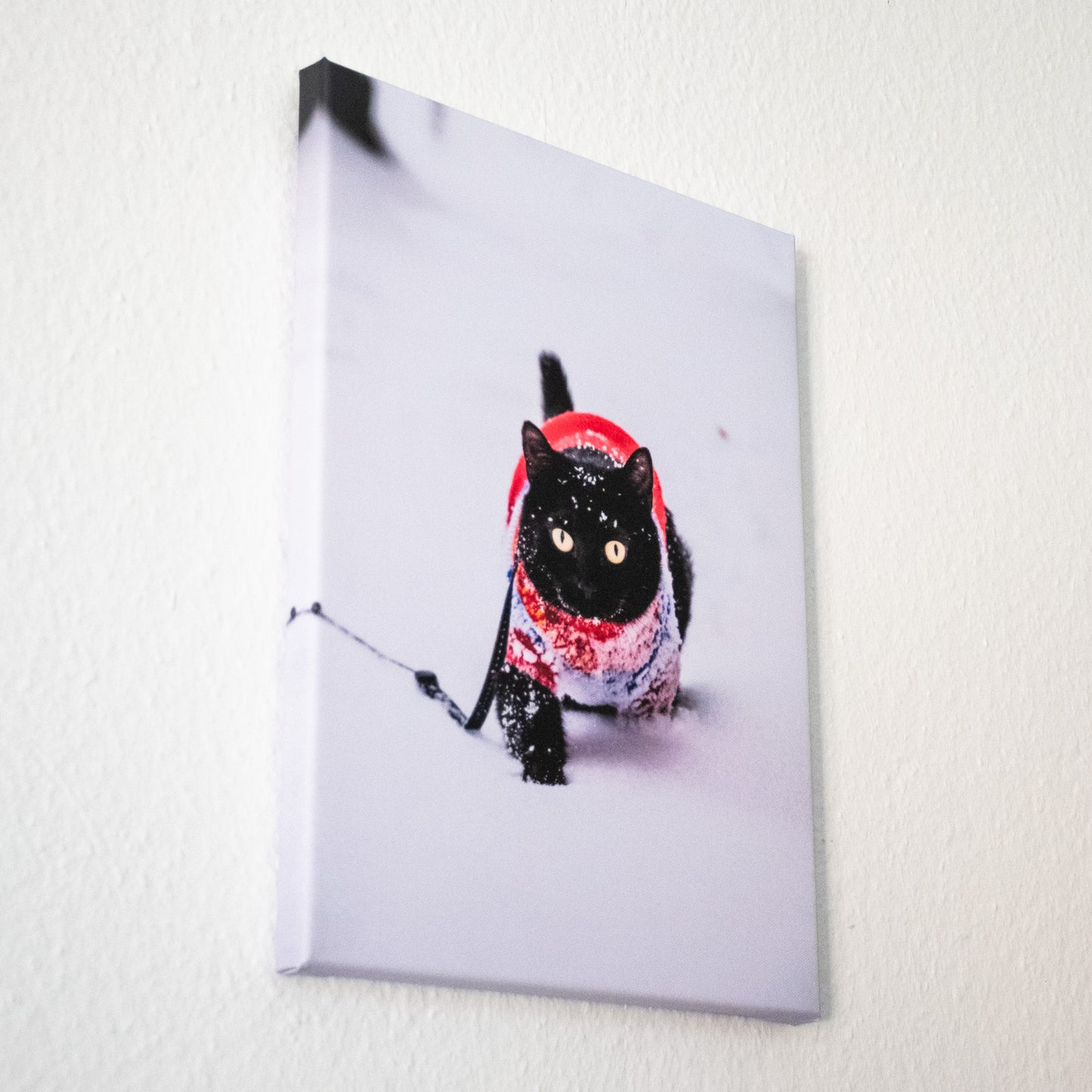 Fotoobraz na plátně - Zima