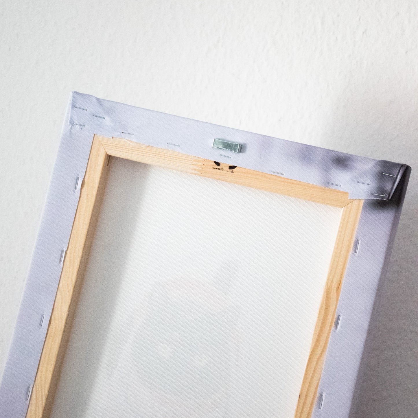 Fotoobraz na plátně - Zima