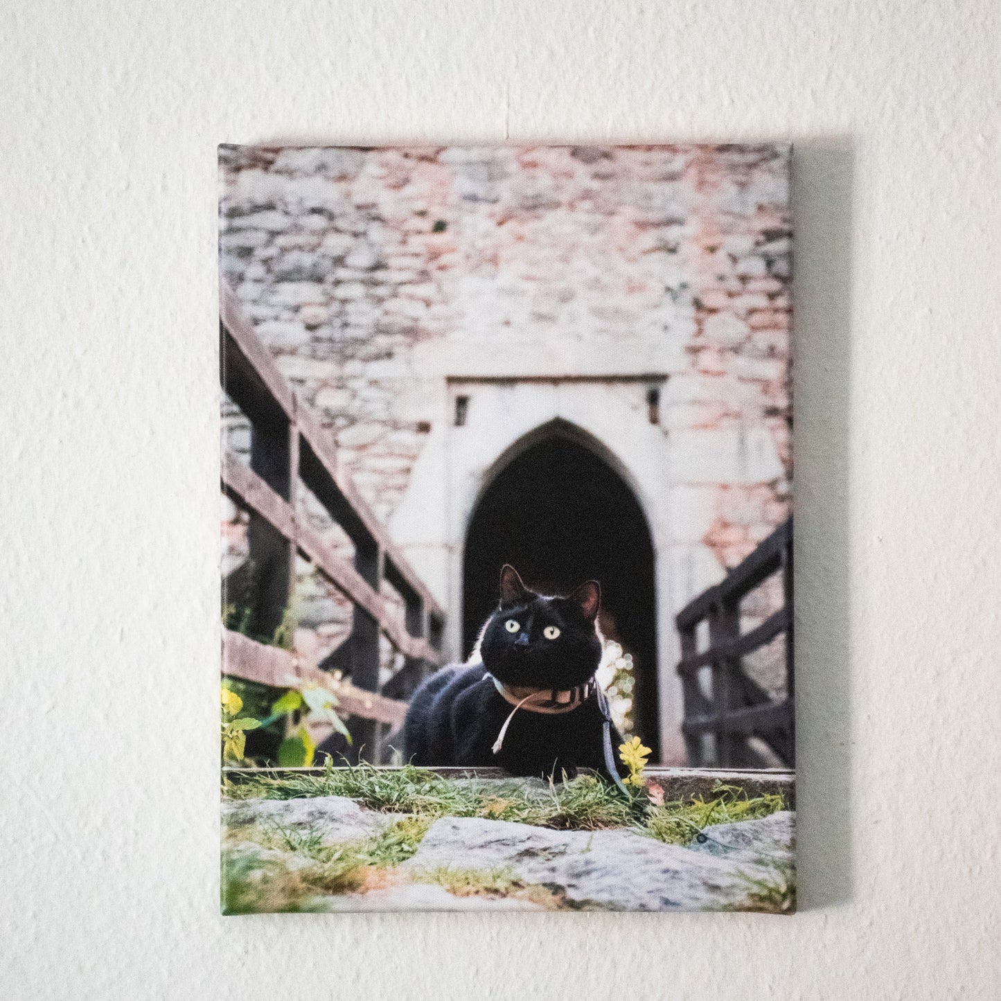 Fotoobraz na plátně - Léto