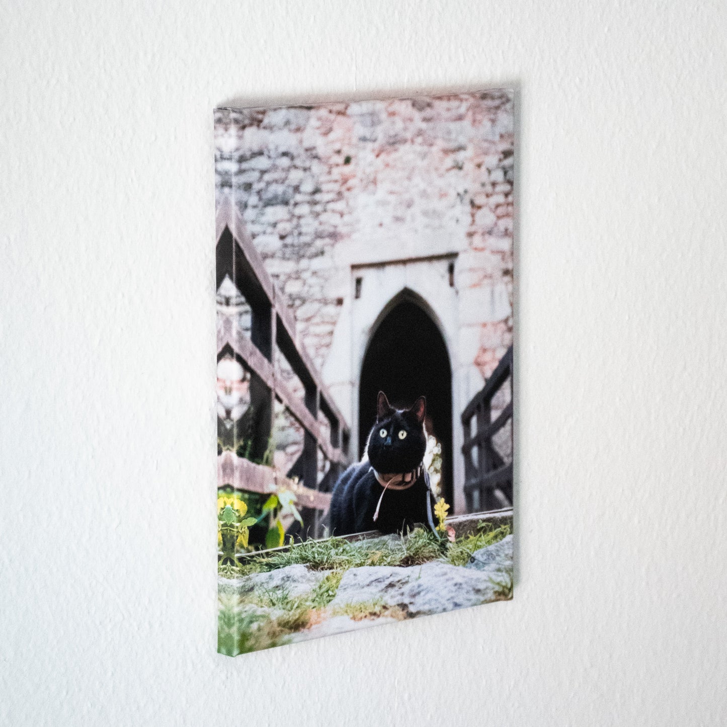 Fotoobraz na plátně - Léto