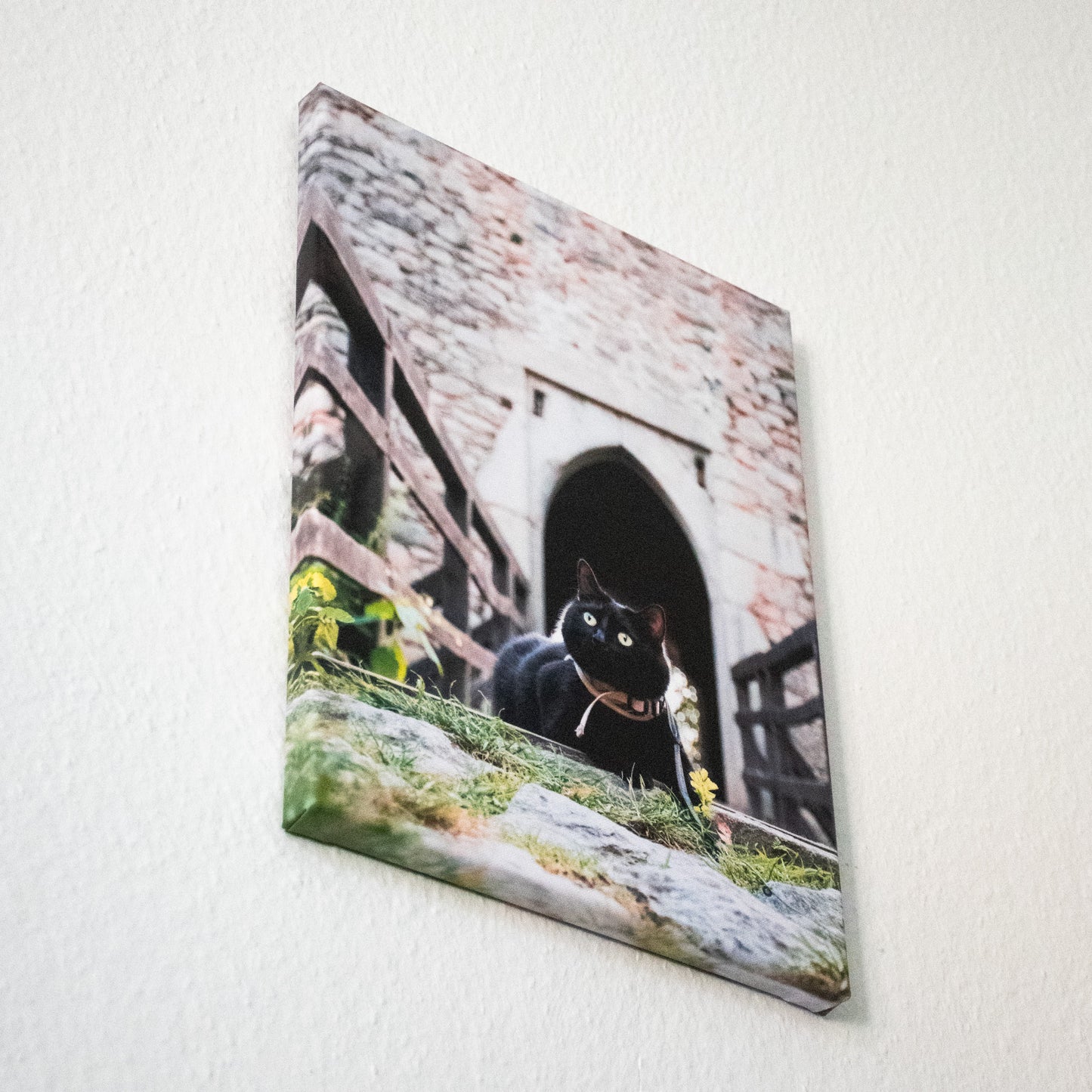 Fotoobraz na plátně - Léto