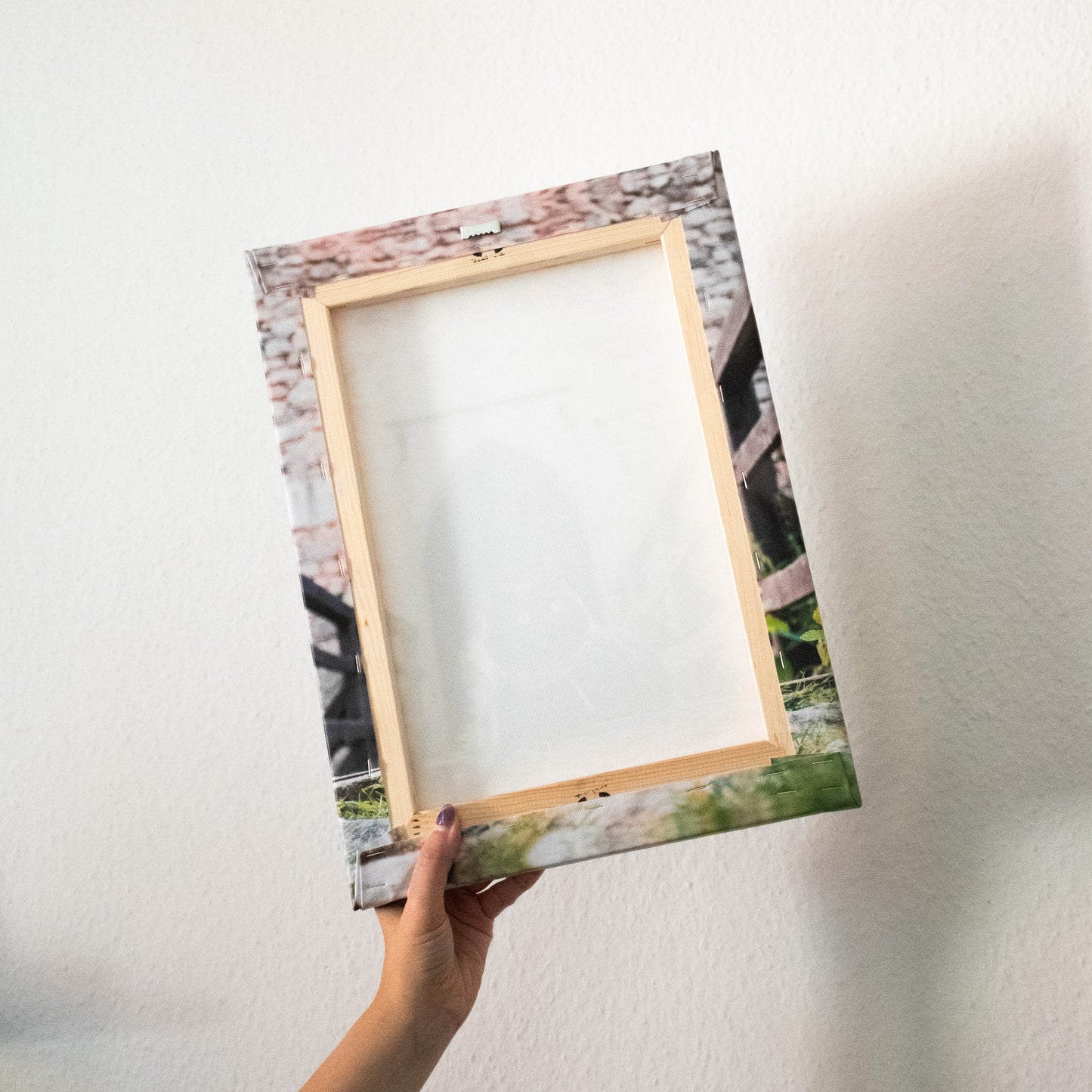 Fotoobraz na plátně - Léto