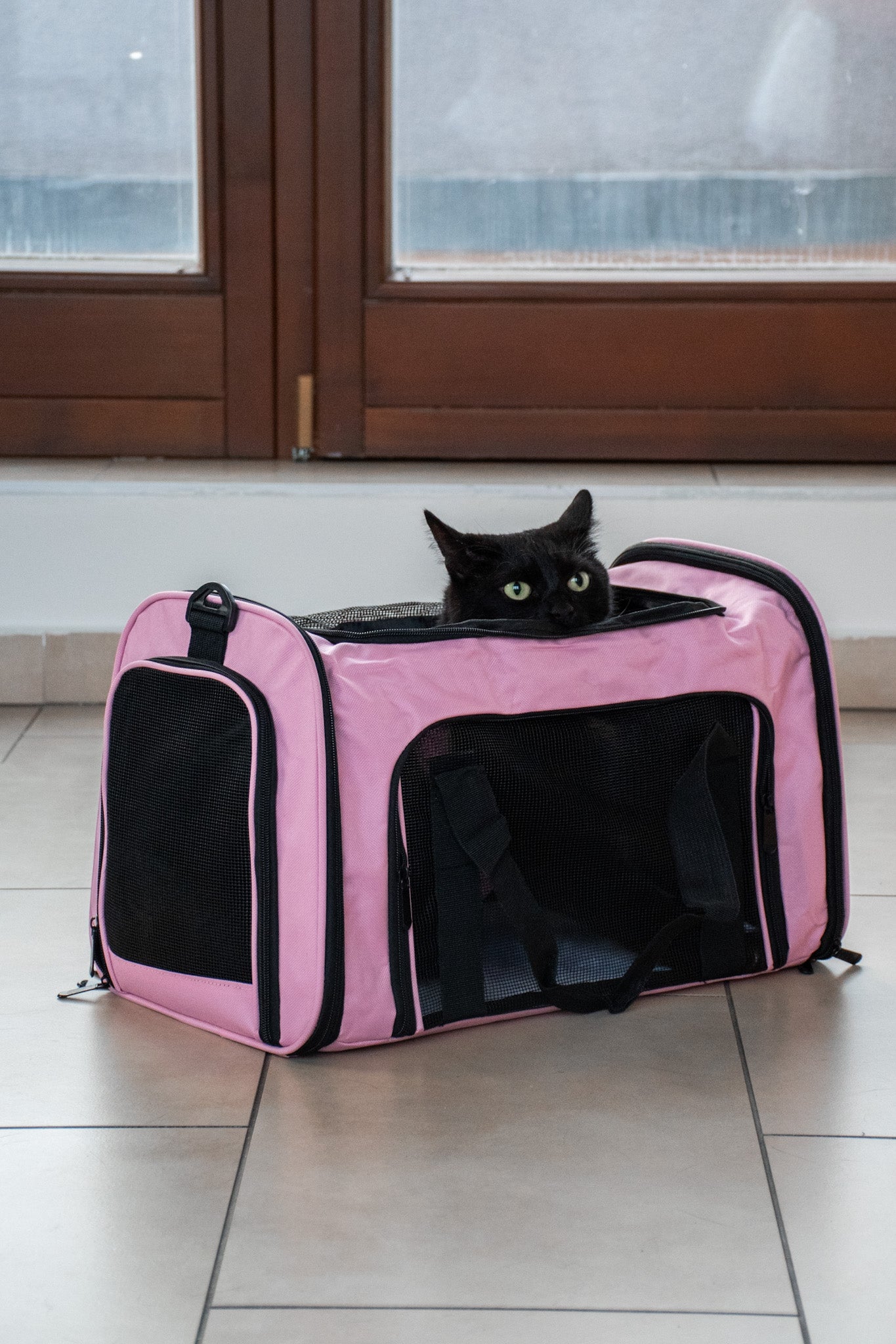 Cestovní taška pro kočky a malé psy