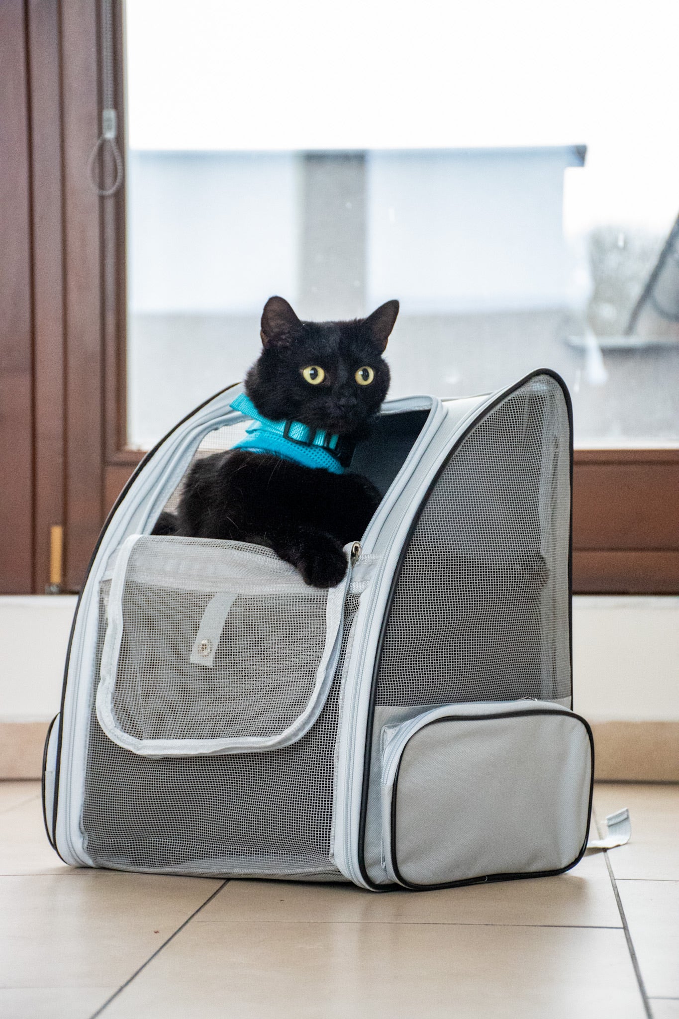 Cestovní batoh pro kočky a malé psy