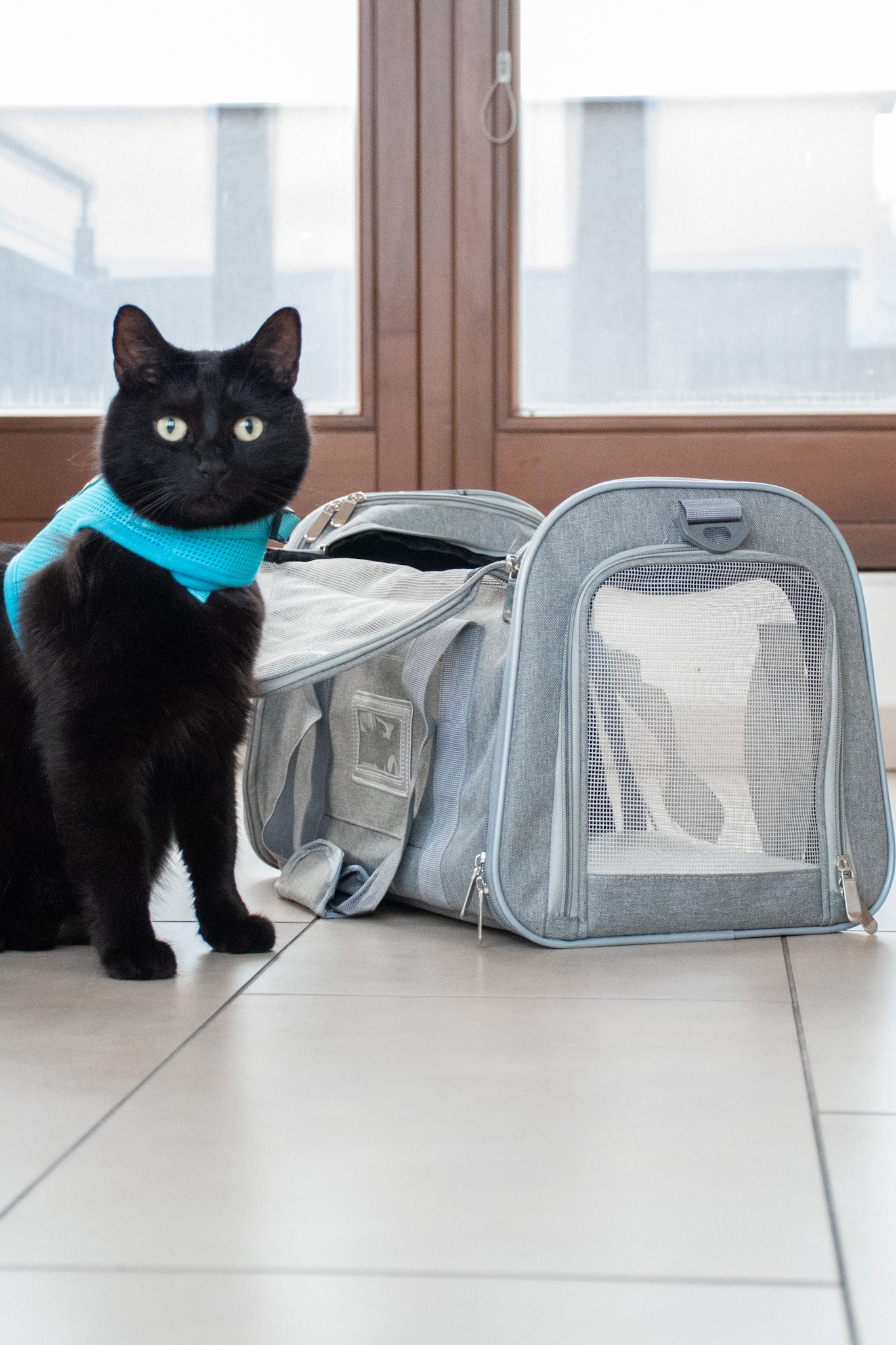 Cestovní taška pro kočky a malé psy