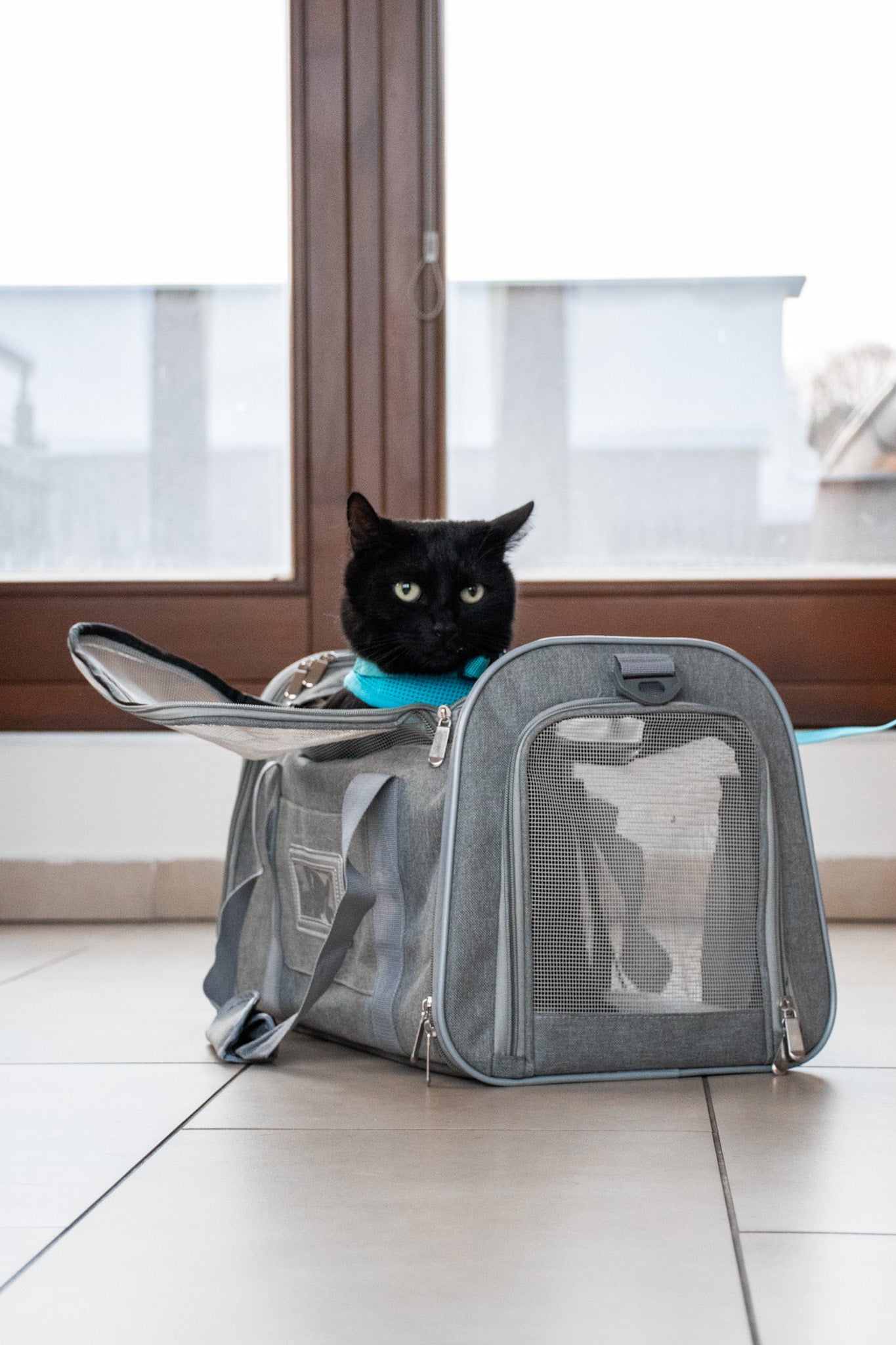 Cestovní taška pro kočky a malé psy