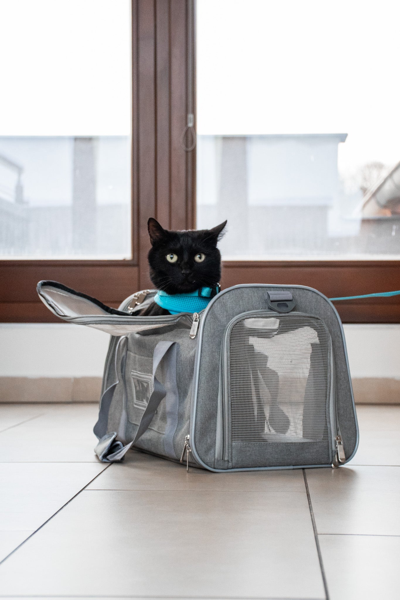 Cestovní taška pro kočky a malé psy