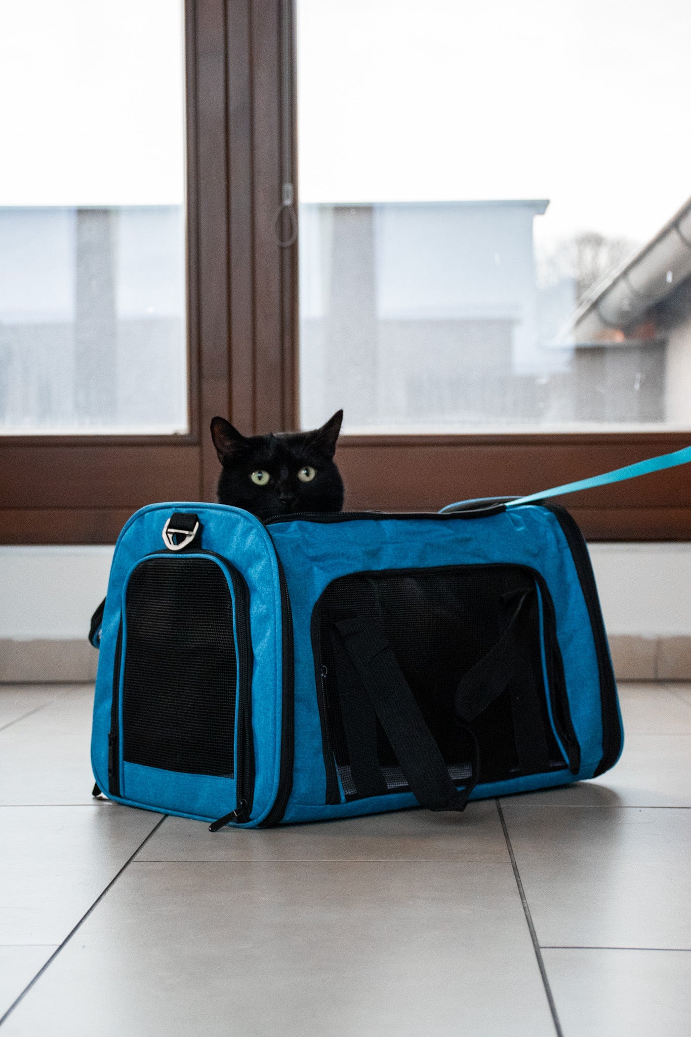 Cestovní taška pro kočky a malé psy