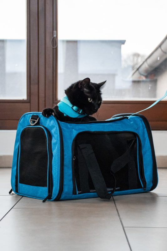 Cestovní taška pro kočky a malé psy