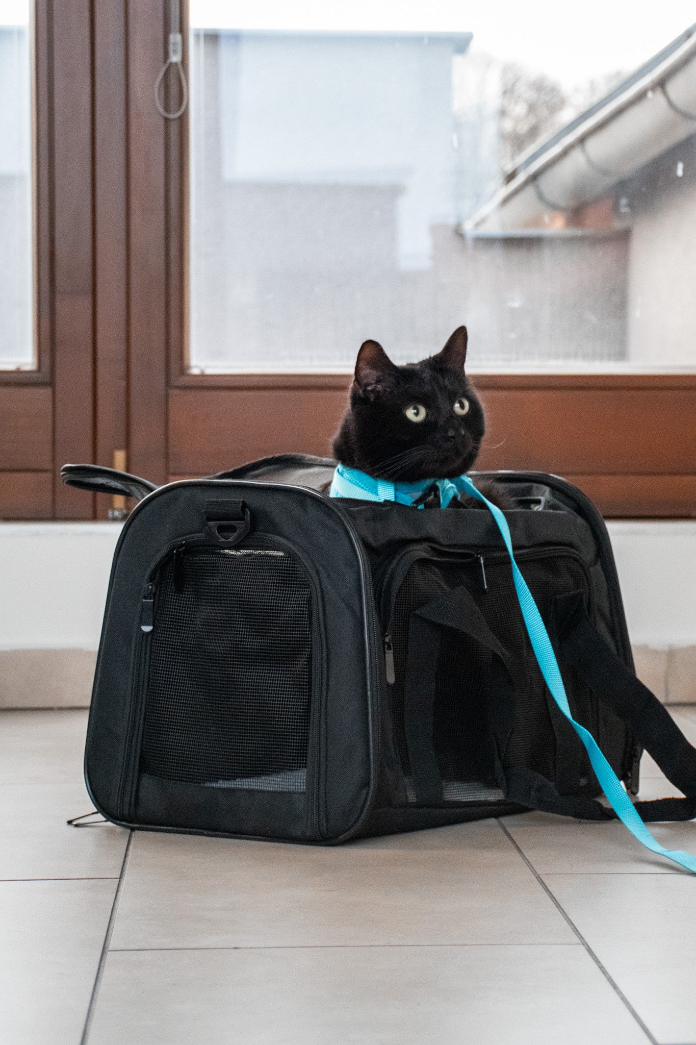 Cestovní taška pro kočky a malé psy