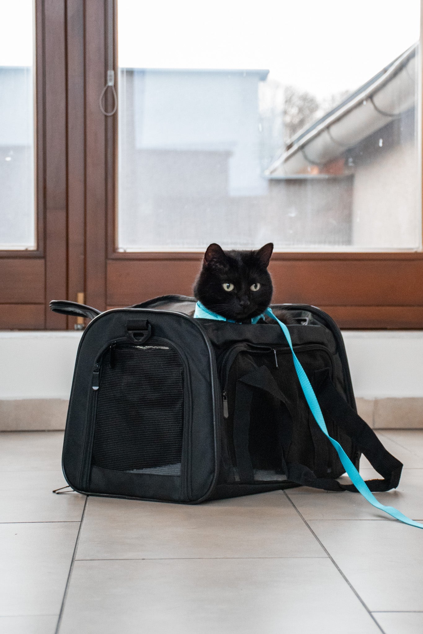 Cestovní taška pro kočky a malé psy