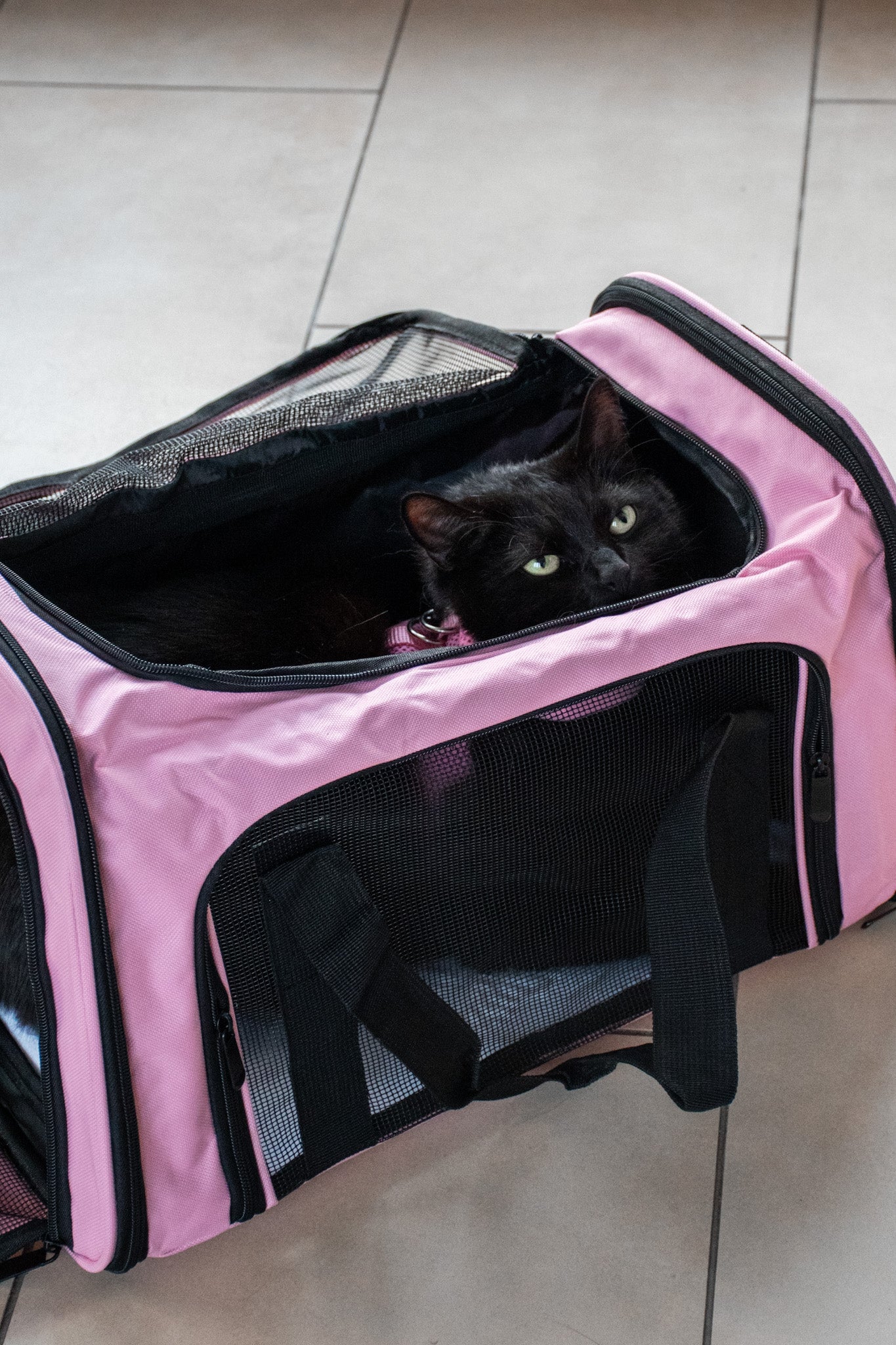 Cestovní taška pro kočky a malé psy