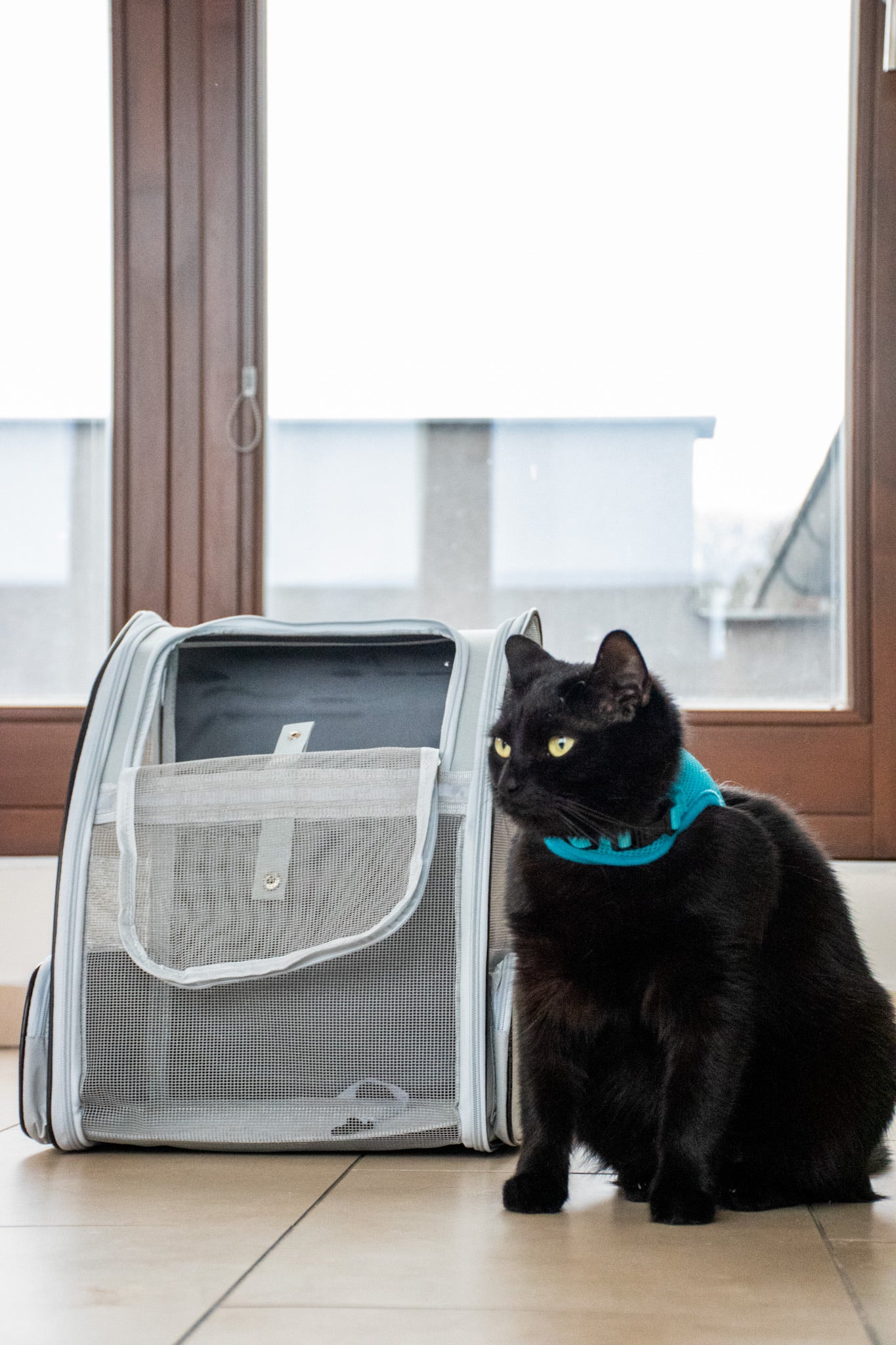 Cestovní batoh pro kočky a malé psy