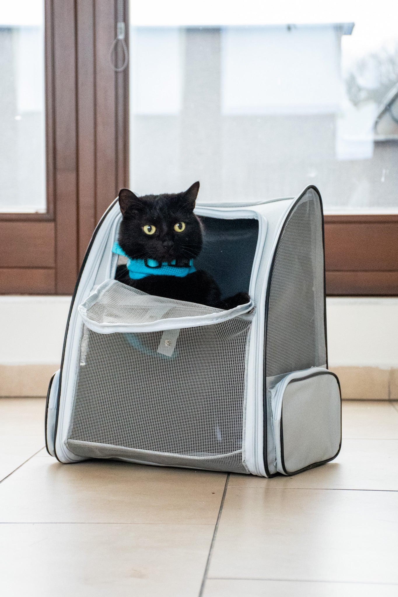 Cestovní batoh pro kočky a malé psy