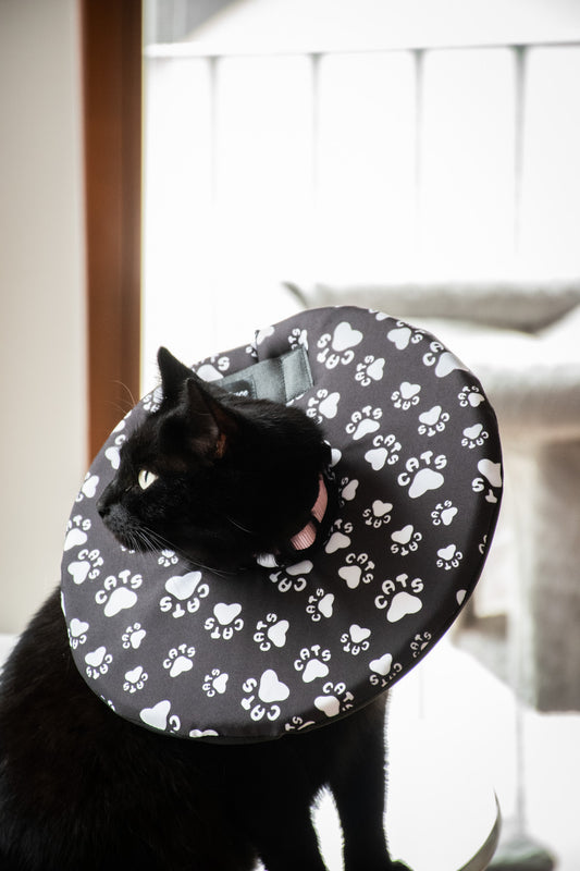 Veterinární límec pro kočky VETLímce